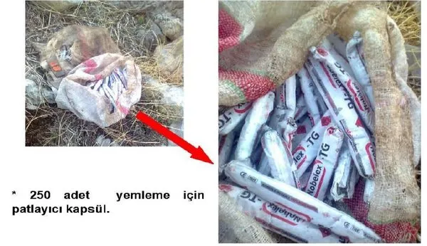 Genelkurmay son operasyonun görüntülerini yayınladı