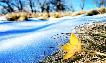 Türkmen Dağı ziyaretçilerini bekliyor