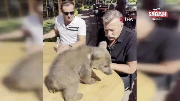 Nuri Alço yavru ayı Liva'ya gazoz içirdi | Video