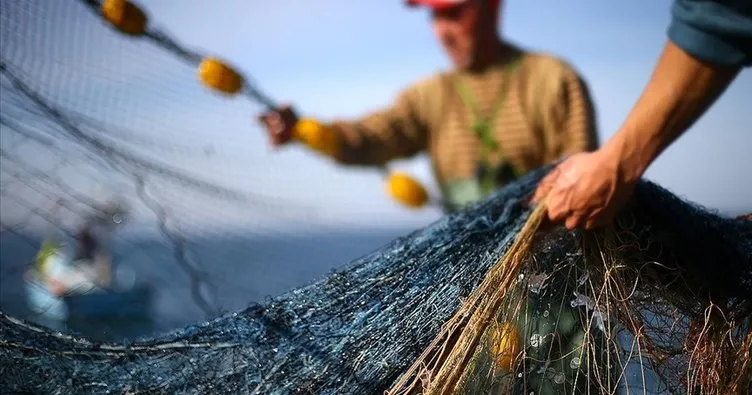 Türkiye balıkçılıkta 1 milyon tonla rekor kırdı