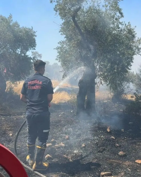 bakan-yumaklidan-milas-yanginiyla-ilgili-sevindiren-haber-geldi-1751655885989.jpg