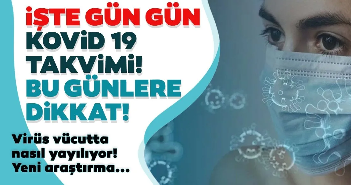 son dakika haberi gun gun corona virus