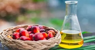 Palm yağında yükseliş sürüyor