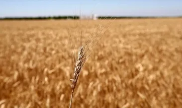 Kremlin batılı ülkeleri suçladı