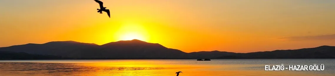 Elazığ