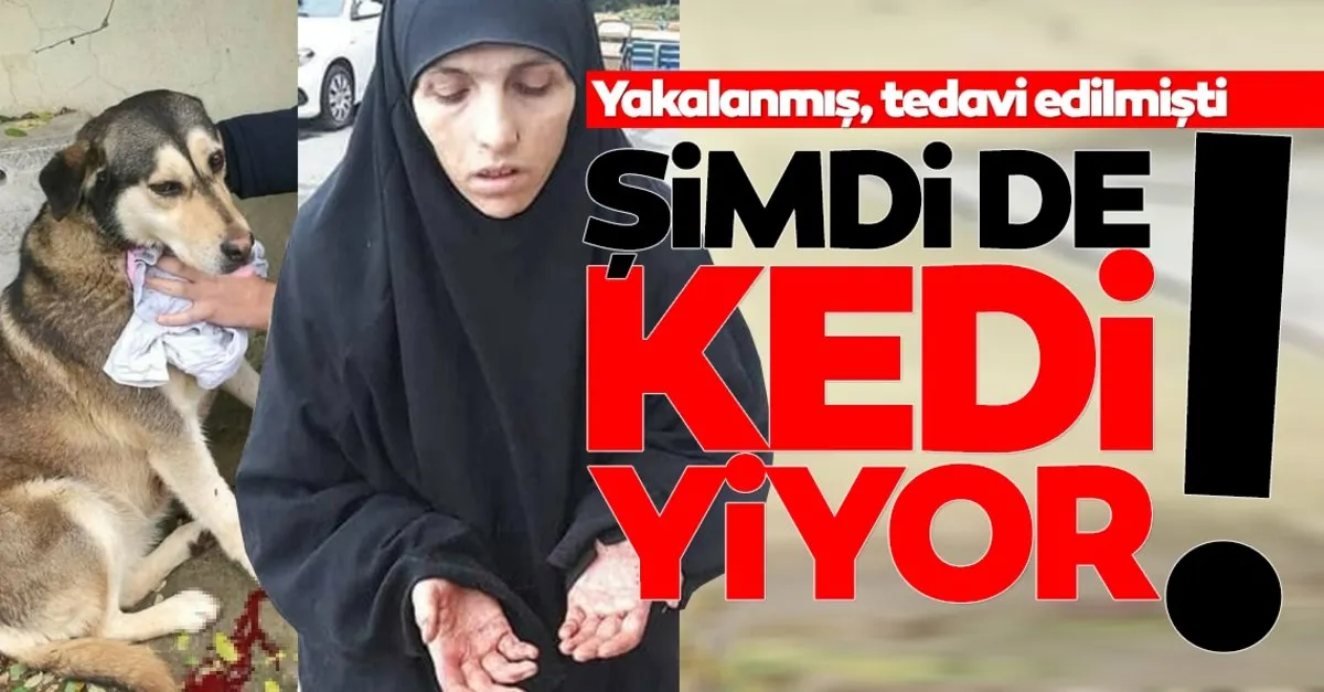 tuzla da kedi yiyen kadinla ilgili