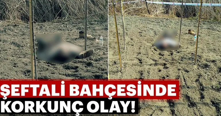 Bursa’da şoke eden cinayet! Şeftali bahçesindeki cinayetin zanlıları yakalandı