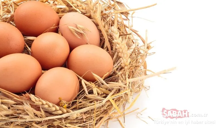 Yumurta hakkındaki bu bilgiler şaşırtıyor!