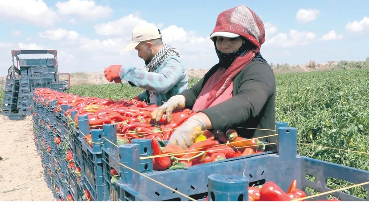 Halkın sofrasına göz dikenler cezasını çeksin