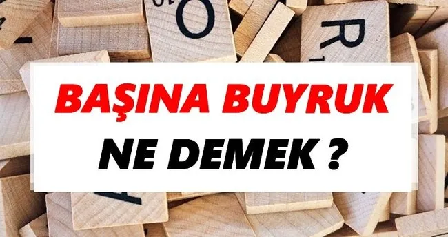 Başına buyruk Ne Demek? TDK’ya Göre Başına buyruk Sözlük Anlamı Nedir?