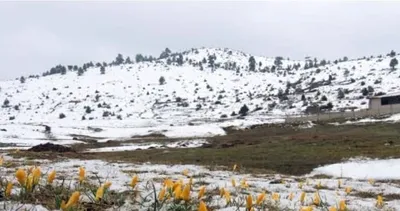 Torosların zirvesinde beyaz örtü