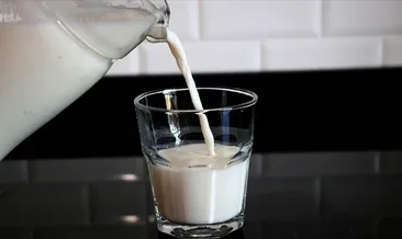 Temmuz’da süt üretimi arttı