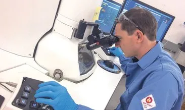 Dünyanın en büyük bakterisi keşfedildi