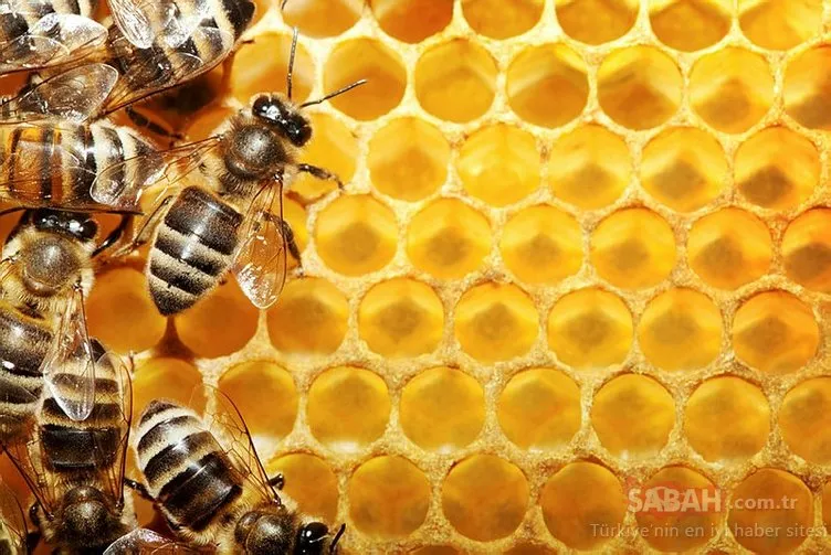 Yararlı diye sık tükettiğimiz besinlere dikkat!