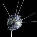 Tarihte bugün 12 Ocak