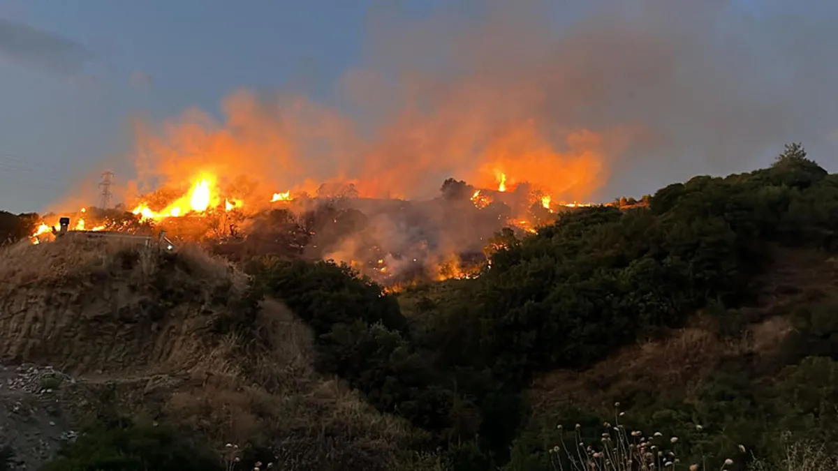 Manisa'daki yangının nedeni belli oldu! Dikkat çeken 'Kene! detayı…