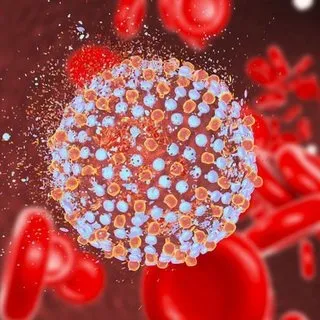 Hepatit C belirtileri ve tedavi yöntemleri nelerdir? Hepatit C tükürükle, cinsel yolla bulaşır mı?