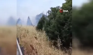 İzmir-Bursa karayolun üzerindeki alevler korkuttu