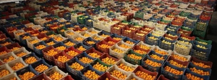 Türkiye’nin tarım gerçekleri: 5 yalan 5 gerçek!