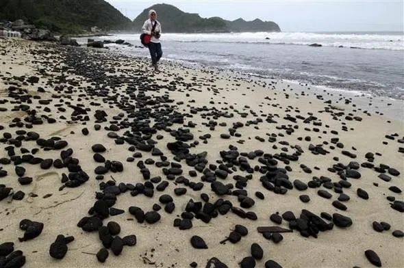 2 bin ton kömür sahile vurdu