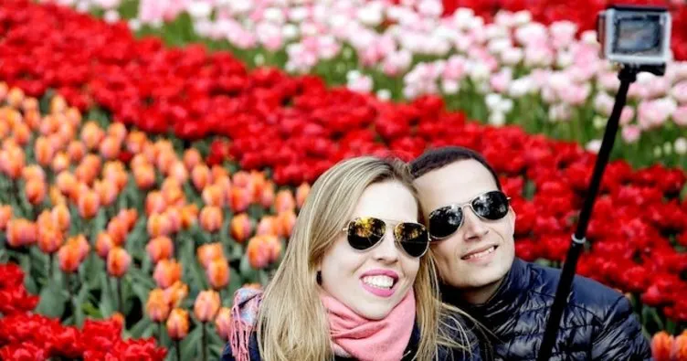Hollanda laleleri selfie meraklılarından bariyerlerle koruyacak