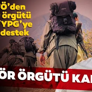 Terör örgütü kardeşliği