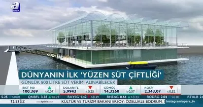 Dünyanın ilk ’yüzen süt çiftliği’ açılıyor!