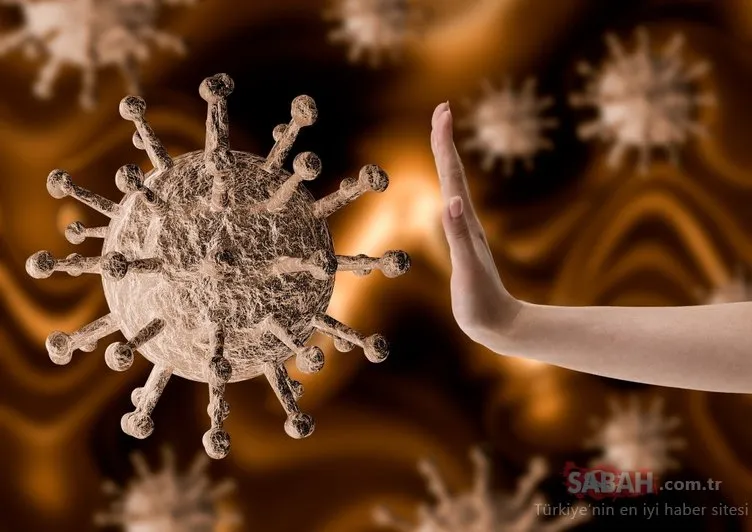 Bilim Kurulu üyeleri açıkladı! Corona virüs yaz mevsiminde sona erecek mi?