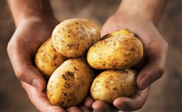 Patates yemek zararlı mı?
