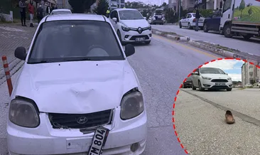 Tokat’ta yolun karşısına geçen kadına otomobil çarptı: Sürücü alkollü çıktı!