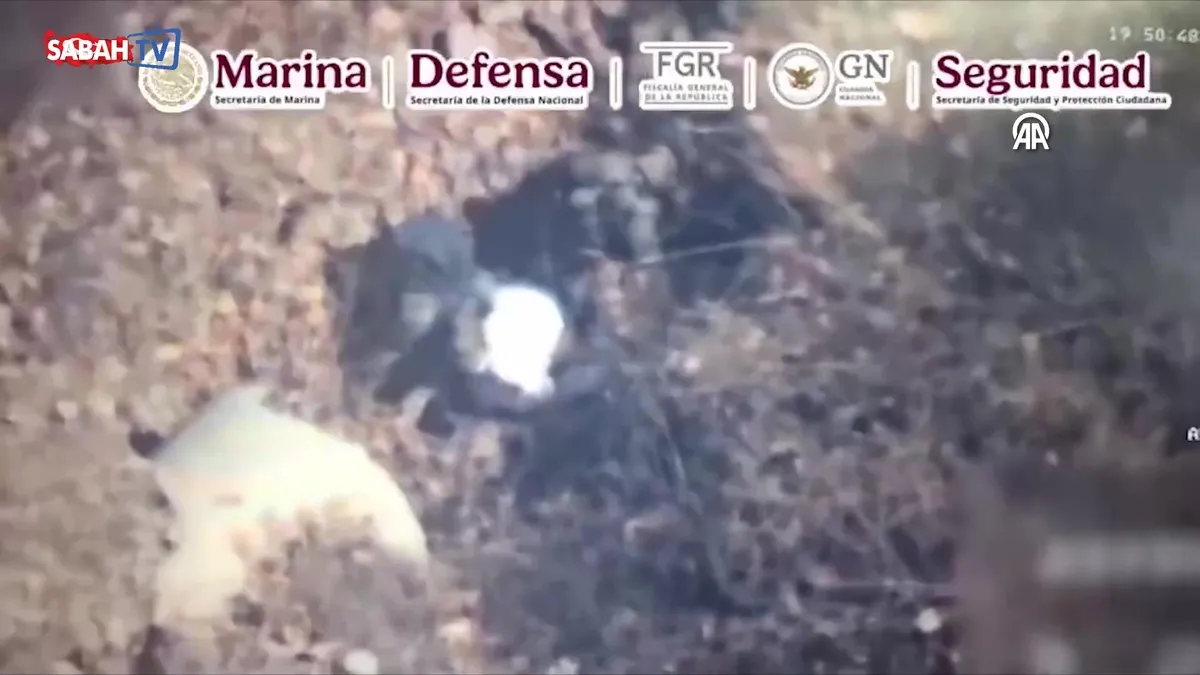 Meksika’da kartelin lider kadrosundan Flores Silva yakalandı | Video videosunu izle Meksika’da kartelin lider kadrosundan Flores Silva yakalandı | Video videosunu izle