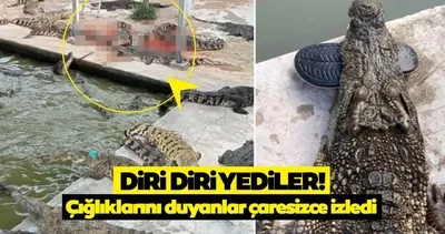 40 tane timsah yaşlı adamı onlarca metre sürükledi, diri diri yuttu! Geriye sadece terliği kaldı…