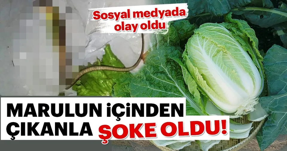 sabah