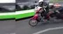 Motosikletli köpek kamerada | Video