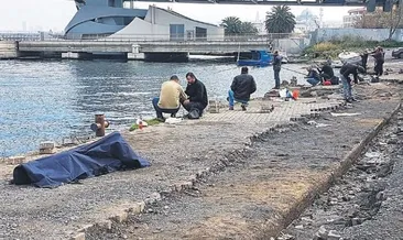 İnsanlık karaya vurdu