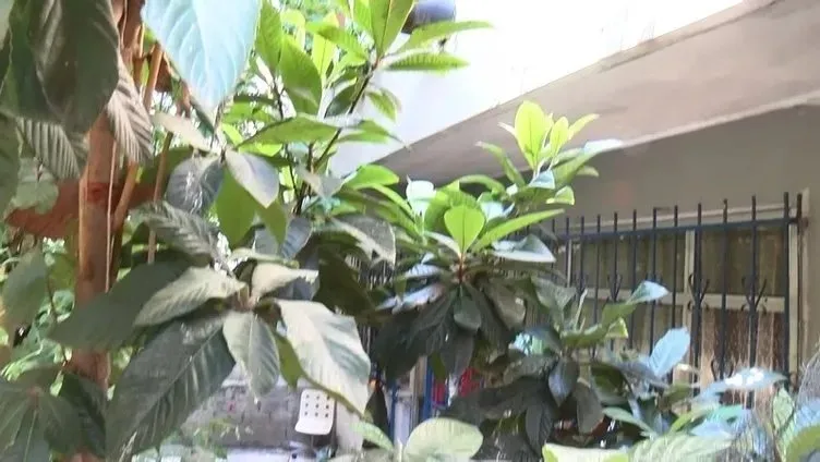 Anne ve babasını bıçaklayarak katleden cani evlat Emre Kaan Aktaş için karar verildi!