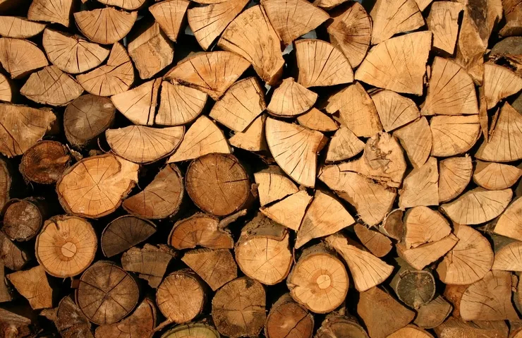 BİLİM İNSANLARINDAN ÇIĞIR AÇAN KEŞİF! AHŞAP ATIKLARI YAKITA DÖNÜŞTÜRÜLDÜ