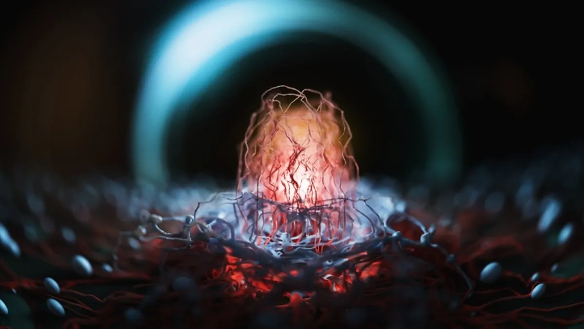 Kanser tedavisinde devrim! Artık bir hapla hastalık kontrol altında Kanser tedavisinde devrim! Artık bir hapla hastalık kontrol altında