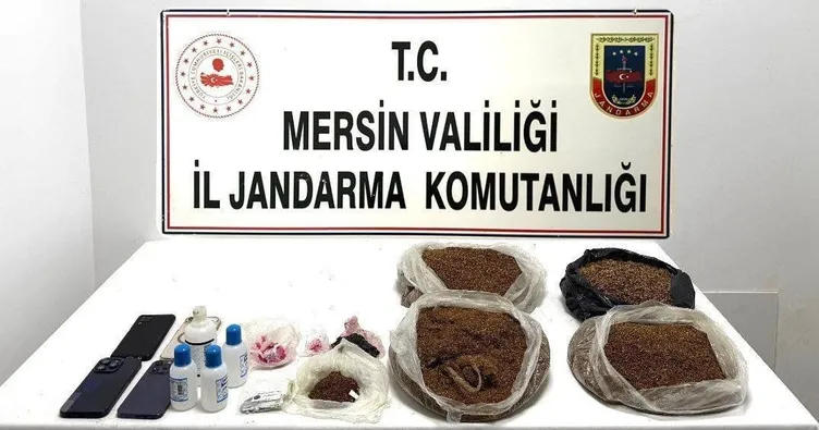 Jandarma’dan uyuşturucu operasyonu