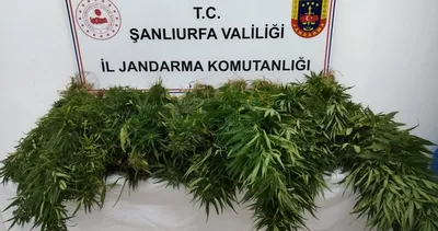 JASAT’tan uyuşturucuya geçit yok