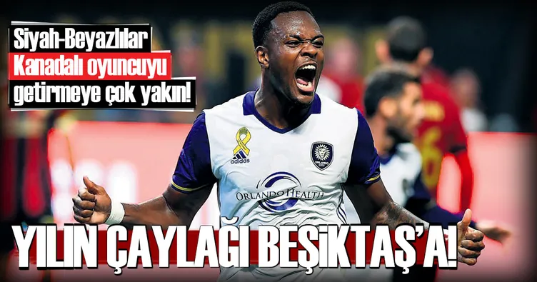 Yılın çaylağı Beşiktaş’a