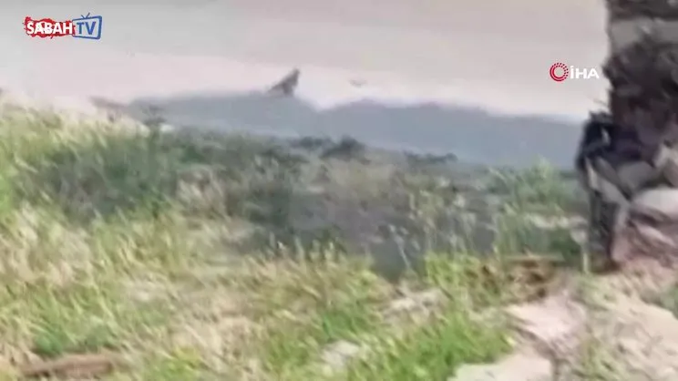 Kumruların yuvası bozulmasın diye kepçesini çalıştırmayan operatör, 27 gün sonra işine döndü | Video