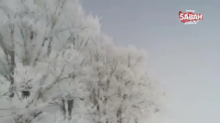 Erzincan'ı sis, pus, kırağı sardı | Video