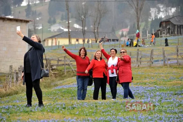 'Mor yayla'ya ziyaretçi akını