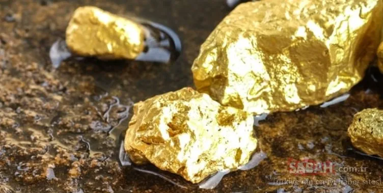 Dev altın rezervi hamleleri hız kazanıyor: Türkiye o illerde altın çıkaracak!