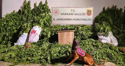 Hakkari'de uyuşturucu operasyonu #hakkari