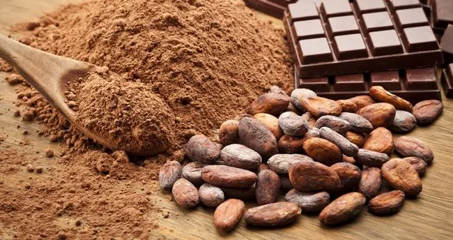kakao çekirdeği kalp sağlığı