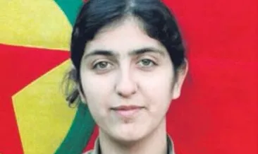 O terörist, CHP’li adayın kardeşi çıktı