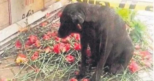 Emanetine sahip çıktılar