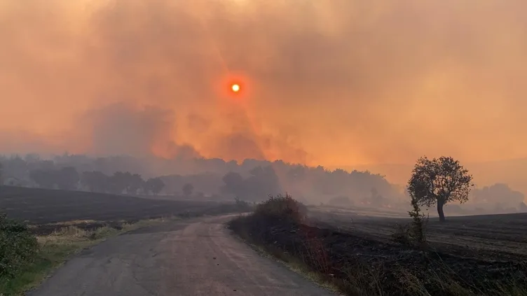SON DAKİKA: Hatay, Mersin ve Çanakkale'de orman yangını! Alevlerle mücadele sürüyor: Bakanlar son bilançoyu açıkladı